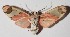  ( - 15-SRNP-853)  @14 [ ] CreativeCommons  Attribution Non-Commercial Share-Alike (2016) Unspecified Guanacaste Dry Forest Conservation Fund