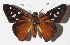 ( - 15-SRNP-899)  @14 [ ] CreativeCommons  Attribution Non-Commercial Share-Alike (2016) Unspecified Guanacaste Dry Forest Conservation Fund