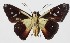  ( - 15-SRNP-899)  @14 [ ] CreativeCommons  Attribution Non-Commercial Share-Alike (2016) Unspecified Guanacaste Dry Forest Conservation Fund