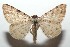  ( - 16-SRNP-102195)  @13 [ ] CreativeCommons  Attribution Non-Commercial Share-Alike (2017) Daniel H. Janzen Guanacaste Dry Forest Conservation Fund