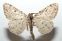  ( - 16-SRNP-102197)  @13 [ ] CreativeCommons  Attribution Non-Commercial Share-Alike (2017) Daniel H. Janzen Guanacaste Dry Forest Conservation Fund