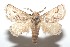  ( - 16-SRNP-102223)  @14 [ ] CreativeCommons  Attribution Non-Commercial Share-Alike (2017) Daniel H. Janzen Guanacaste Dry Forest Conservation Fund