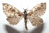  ( - 16-SRNP-102261)  @13 [ ] CreativeCommons  Attribution Non-Commercial Share-Alike (2017) Daniel H. Janzen Guanacaste Dry Forest Conservation Fund