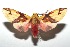 ( - 16-SRNP-102291)  @14 [ ] CreativeCommons  Attribution Non-Commercial Share-Alike (2017) Daniel H. Janzen Guanacaste Dry Forest Conservation Fund
