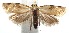  ( - 16-SRNP-102384)  @14 [ ] CreativeCommons  Attribution Non-Commercial Share-Alike (2017) Daniel H. Janzen Guanacaste Dry Forest Conservation Fund