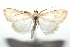  ( - 16-SRNP-102411)  @12 [ ] CreativeCommons  Attribution Non-Commercial Share-Alike (2017) Daniel H. Janzen Guanacaste Dry Forest Conservation Fund