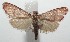  ( - 16-SRNP-102671)  @14 [ ] CreativeCommons  Attribution Non-Commercial Share-Alike (2017) Daniel H. Janzen Guanacaste Dry Forest Conservation Fund