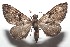  ( - 16-SRNP-102711)  @14 [ ] CreativeCommons  Attribution Non-Commercial Share-Alike (2017) Daniel H. Janzen Guanacaste Dry Forest Conservation Fund
