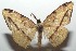  ( - 16-SRNP-102723)  @13 [ ] CreativeCommons  Attribution Non-Commercial Share-Alike (2017) Daniel H. Janzen Guanacaste Dry Forest Conservation Fund