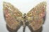  ( - 16-SRNP-102763)  @14 [ ] CreativeCommons  Attribution Non-Commercial Share-Alike (2017) Daniel H. Janzen Guanacaste Dry Forest Conservation Fund