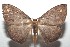  ( - 16-SRNP-102783)  @14 [ ] CreativeCommons  Attribution Non-Commercial Share-Alike (2017) Daniel H. Janzen Guanacaste Dry Forest Conservation Fund
