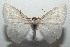  ( - 16-SRNP-102791)  @14 [ ] CreativeCommons  Attribution Non-Commercial Share-Alike (2017) Daniel H. Janzen Guanacaste Dry Forest Conservation Fund