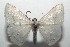  ( - 16-SRNP-102792)  @14 [ ] CreativeCommons  Attribution Non-Commercial Share-Alike (2017) Daniel H. Janzen Guanacaste Dry Forest Conservation Fund