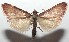  ( - 16-SRNP-102904)  @14 [ ] CreativeCommons  Attribution Non-Commercial Share-Alike (2017) Daniel H. Janzen Guanacaste Dry Forest Conservation Fund