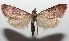  ( - 16-SRNP-102907)  @14 [ ] CreativeCommons  Attribution Non-Commercial Share-Alike (2017) Daniel H. Janzen Guanacaste Dry Forest Conservation Fund