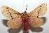 ( - 16-SRNP-103124)  @15 [ ] CreativeCommons  Attribution Non-Commercial Share-Alike (2017) Daniel H. Janzen Guanacaste Dry Forest Conservation Fund