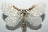  ( - 16-SRNP-103126)  @13 [ ] CreativeCommons  Attribution Non-Commercial Share-Alike (2017) Daniel H. Janzen Guanacaste Dry Forest Conservation Fund