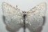  ( - 16-SRNP-103201)  @14 [ ] CreativeCommons  Attribution Non-Commercial Share-Alike (2017) Daniel H. Janzen Guanacaste Dry Forest Conservation Fund