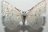  ( - 16-SRNP-103204)  @14 [ ] CreativeCommons  Attribution Non-Commercial Share-Alike (2017) Daniel H. Janzen Guanacaste Dry Forest Conservation Fund