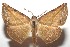  ( - 16-SRNP-103386)  @14 [ ] CreativeCommons  Attribution Non-Commercial Share-Alike (2017) Daniel H. Janzen Guanacaste Dry Forest Conservation Fund