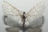  ( - 16-SRNP-103400)  @14 [ ] CreativeCommons  Attribution Non-Commercial Share-Alike (2017) Daniel H. Janzen Guanacaste Dry Forest Conservation Fund