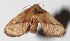  ( - 07-SRNP-41434)  @13 [ ] CreativeCommons  Attribution Non-Commercial Share-Alike (2017) Daniel H. Janzen Guanacaste Dry Forest Conservation Fund