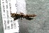  ( - 14-SRNP-2350)  @12 [ ] CreativeCommons  Attribution Non-Commercial Share-Alike (2017) Daniel H. Janzen Guanacaste Dry Forest Conservation Fund