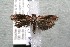  ( - 14-SRNP-2430)  @13 [ ] CreativeCommons  Attribution Non-Commercial Share-Alike (2017) Daniel H. Janzen Guanacaste Dry Forest Conservation Fund