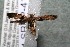 ( - 14-SRNP-41490)  @12 [ ] CreativeCommons  Attribution Non-Commercial Share-Alike (2017) Daniel H. Janzen Guanacaste Dry Forest Conservation Fund