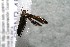  ( - 14-SRNP-45163)  @12 [ ] CreativeCommons  Attribution Non-Commercial Share-Alike (2017) Daniel H. Janzen Guanacaste Dry Forest Conservation Fund