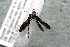  ( - 14-SRNP-45164)  @12 [ ] CreativeCommons  Attribution Non-Commercial Share-Alike (2017) Daniel H. Janzen Guanacaste Dry Forest Conservation Fund