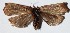  ( - 14-SRNP-4815)  @11 [ ] CreativeCommons  Attribution Non-Commercial Share-Alike (2017) Daniel H. Janzen Guanacaste Dry Forest Conservation Fund
