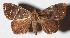  ( - 14-SRNP-56129)  @14 [ ] CreativeCommons  Attribution Non-Commercial Share-Alike (2017) Daniel H. Janzen Guanacaste Dry Forest Conservation Fund