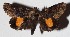  ( - 15-SRNP-1361)  @14 [ ] CreativeCommons  Attribution Non-Commercial Share-Alike (2017) Daniel H. Janzen Guanacaste Dry Forest Conservation Fund