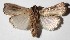  ( - 15-SRNP-30770)  @14 [ ] CreativeCommons  Attribution Non-Commercial Share-Alike (2017) Daniel H. Janzen Guanacaste Dry Forest Conservation Fund