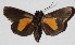  ( - 15-SRNP-41428)  @14 [ ] CreativeCommons  Attribution Non-Commercial Share-Alike (2017) Daniel H. Janzen Guanacaste Dry Forest Conservation Fund