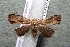  ( - 15-SRNP-41500)  @14 [ ] CreativeCommons  Attribution Non-Commercial Share-Alike (2017) Daniel H. Janzen Guanacaste Dry Forest Conservation Fund