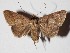  ( - 15-SRNP-46545)  @14 [ ] CreativeCommons  Attribution Non-Commercial Share-Alike (2017) Daniel H. Janzen Guanacaste Dry Forest Conservation Fund