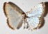  ( - 15-SRNP-72561)  @14 [ ] CreativeCommons  Attribution Non-Commercial Share-Alike (2017) Daniel H. Janzen Guanacaste Dry Forest Conservation Fund