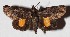  ( - 15-SRNP-75483)  @14 [ ] CreativeCommons  Attribution Non-Commercial Share-Alike (2017) Daniel H. Janzen Guanacaste Dry Forest Conservation Fund
