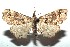  ( - 16-SRNP-100386)  @14 [ ] CreativeCommons  Attribution Non-Commercial Share-Alike (2017) Daniel H. Janzen Guanacaste Dry Forest Conservation Fund