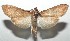  ( - 16-SRNP-100552)  @14 [ ] CreativeCommons  Attribution Non-Commercial Share-Alike (2017) Daniel H. Janzen Guanacaste Dry Forest Conservation Fund