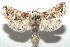  ( - 16-SRNP-100622)  @13 [ ] CreativeCommons  Attribution Non-Commercial Share-Alike (2017) Daniel H. Janzen Guanacaste Dry Forest Conservation Fund
