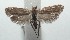  ( - 16-SRNP-100682)  @14 [ ] CreativeCommons  Attribution Non-Commercial Share-Alike (2017) Daniel H. Janzen Guanacaste Dry Forest Conservation Fund