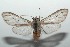  ( - 16-SRNP-100685)  @14 [ ] CreativeCommons  Attribution Non-Commercial Share-Alike (2017) Daniel H. Janzen Guanacaste Dry Forest Conservation Fund