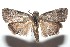  ( - 16-SRNP-100807)  @14 [ ] CreativeCommons  Attribution Non-Commercial Share-Alike (2017) Daniel H. Janzen Guanacaste Dry Forest Conservation Fund
