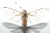  ( - 16-SRNP-100826)  @13 [ ] CreativeCommons  Attribution Non-Commercial Share-Alike (2017) Daniel H. Janzen Guanacaste Dry Forest Conservation Fund