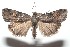  ( - 16-SRNP-100917)  @14 [ ] CreativeCommons  Attribution Non-Commercial Share-Alike (2017) Daniel H. Janzen Guanacaste Dry Forest Conservation Fund