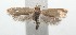  ( - 16-SRNP-101094)  @14 [ ] CreativeCommons  Attribution Non-Commercial Share-Alike (2017) Daniel H. Janzen Guanacaste Dry Forest Conservation Fund