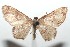  ( - 16-SRNP-101217)  @14 [ ] CreativeCommons  Attribution Non-Commercial Share-Alike (2017) Daniel H. Janzen Guanacaste Dry Forest Conservation Fund